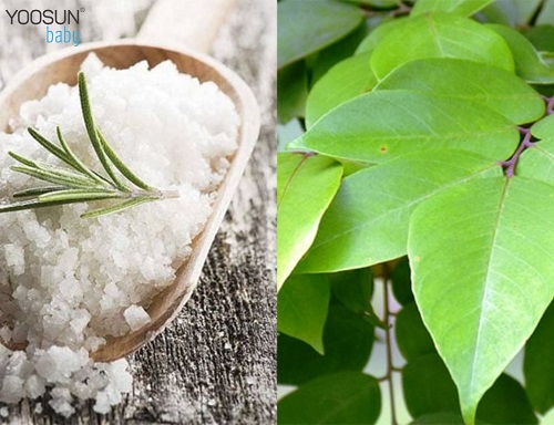 chữa dị ứng bỉm cho trẻ sơ sinh