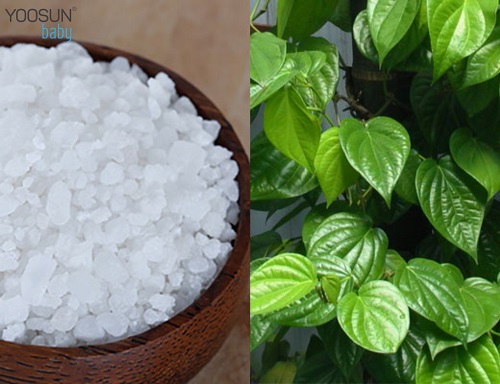 trẻ dị ứng bỉm