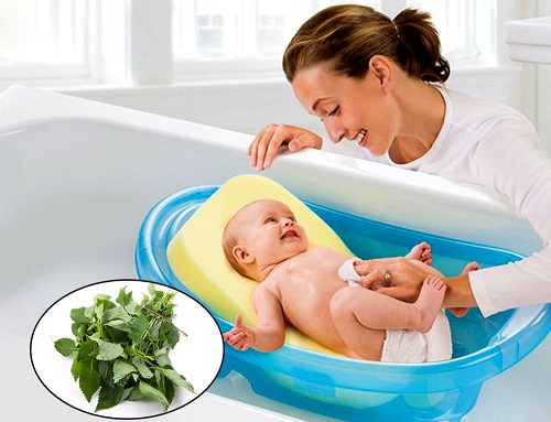 cách nấu nước lá kinh giới tắm cho bé