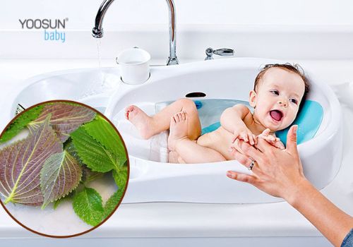 trẻ sơ sinh tắm lá tía tô được không