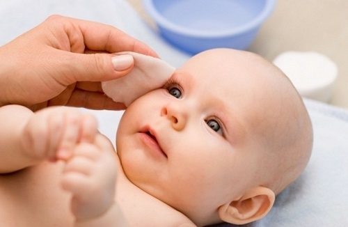 tắm cho bé bằng lá đinh lăng