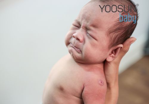 dị ứng phấn hoa là gì