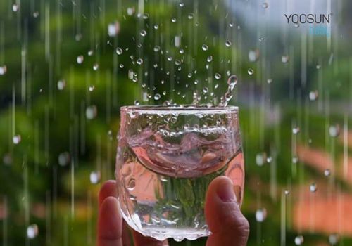 dị ứng nước mưa là bệnh gì