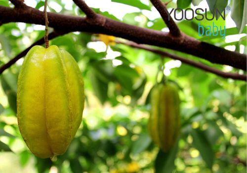 trẻ em bị dị ứng thời tiết