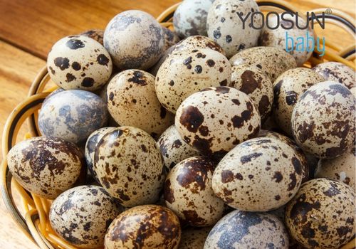 dị ứng trứng kiến
