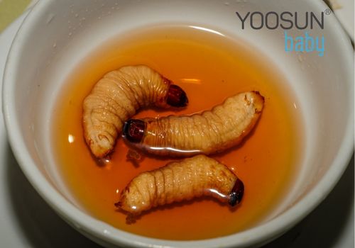 cách chữa dị ứng đuông dừa